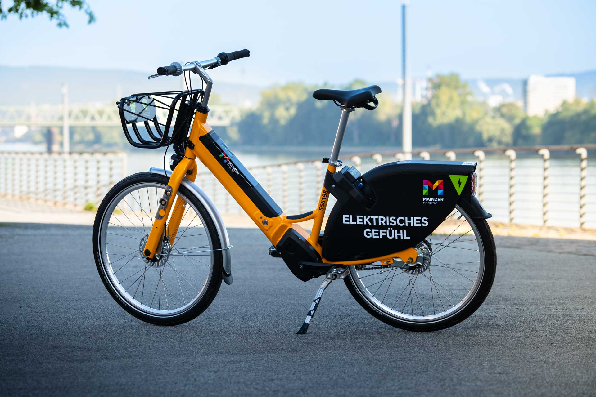 Foto eines Pedelecs am Rheinufer