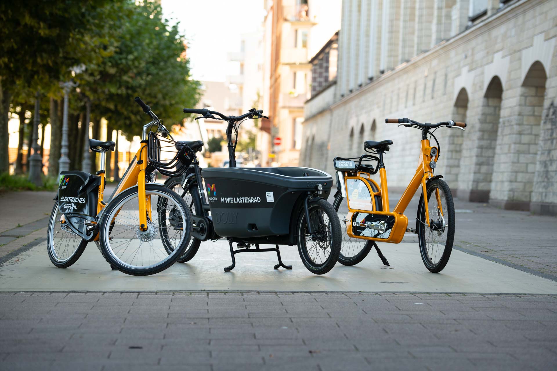 Foto von allen drei Radtypen von meinRad