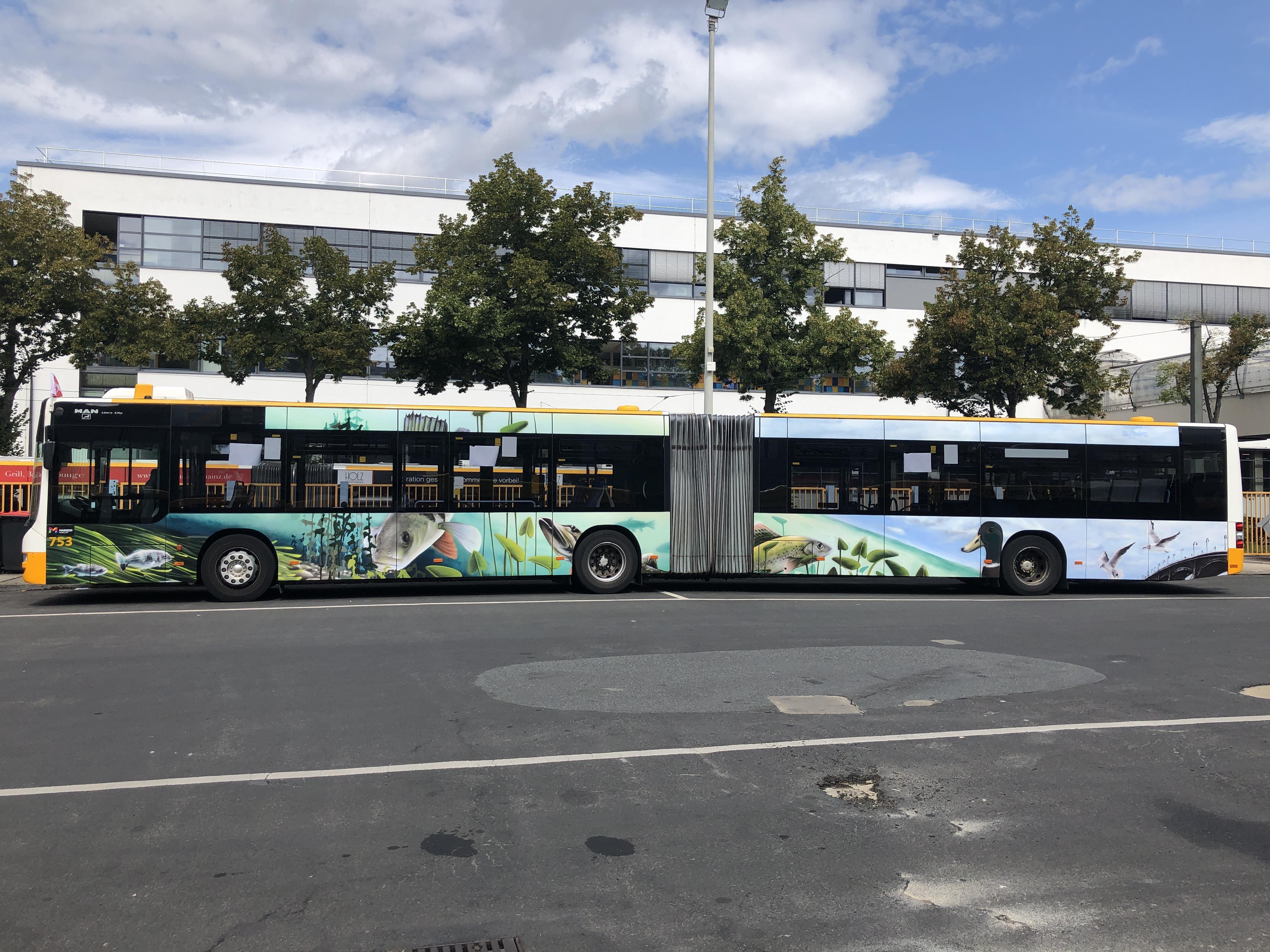 Graffiti Bus