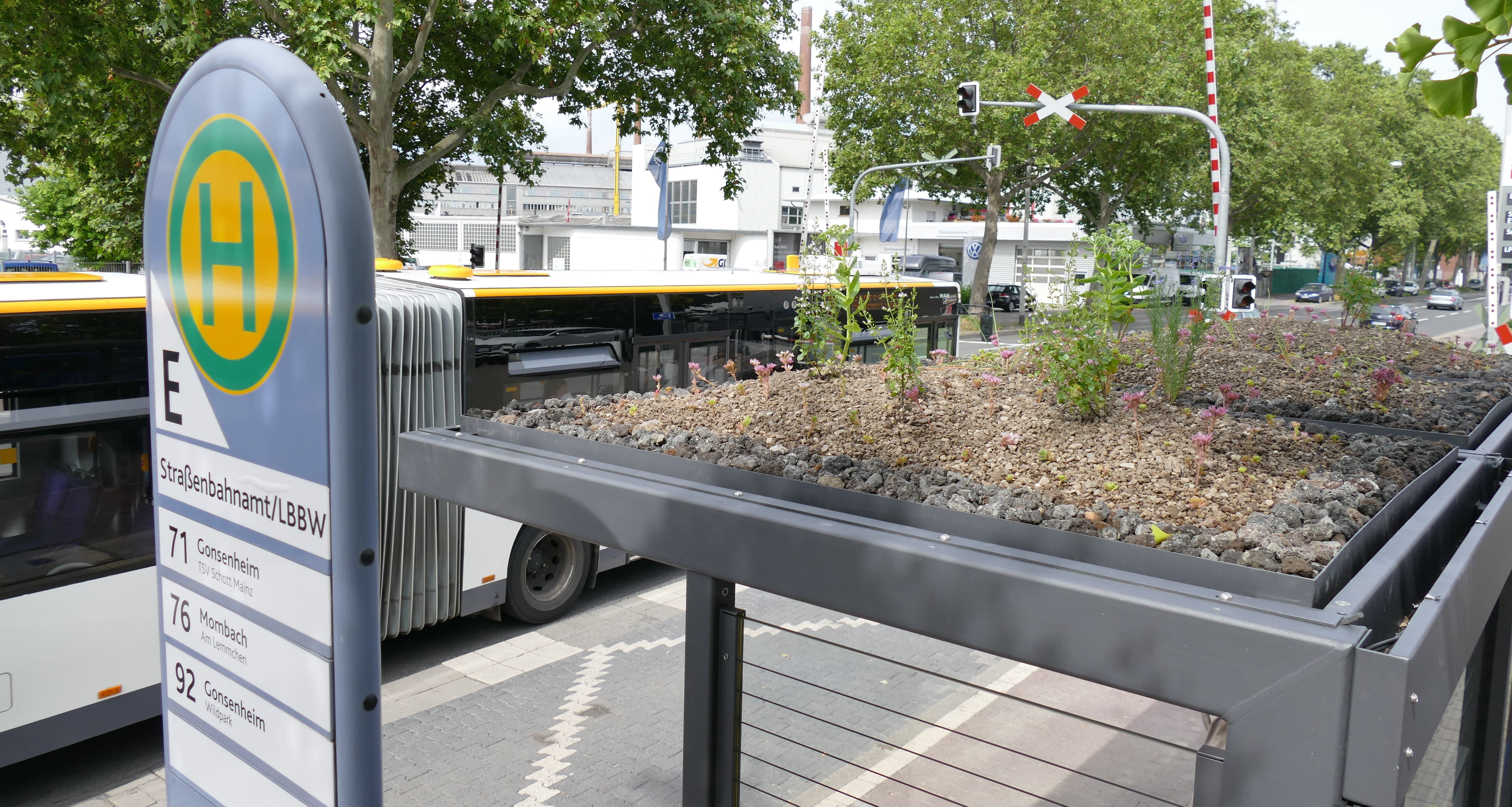 Erste begrünte Haltestelle Erste begrünte Haltestelle