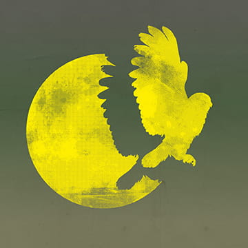 Logo der Museumsnacht: Bild mit einer Taube im Mondschein