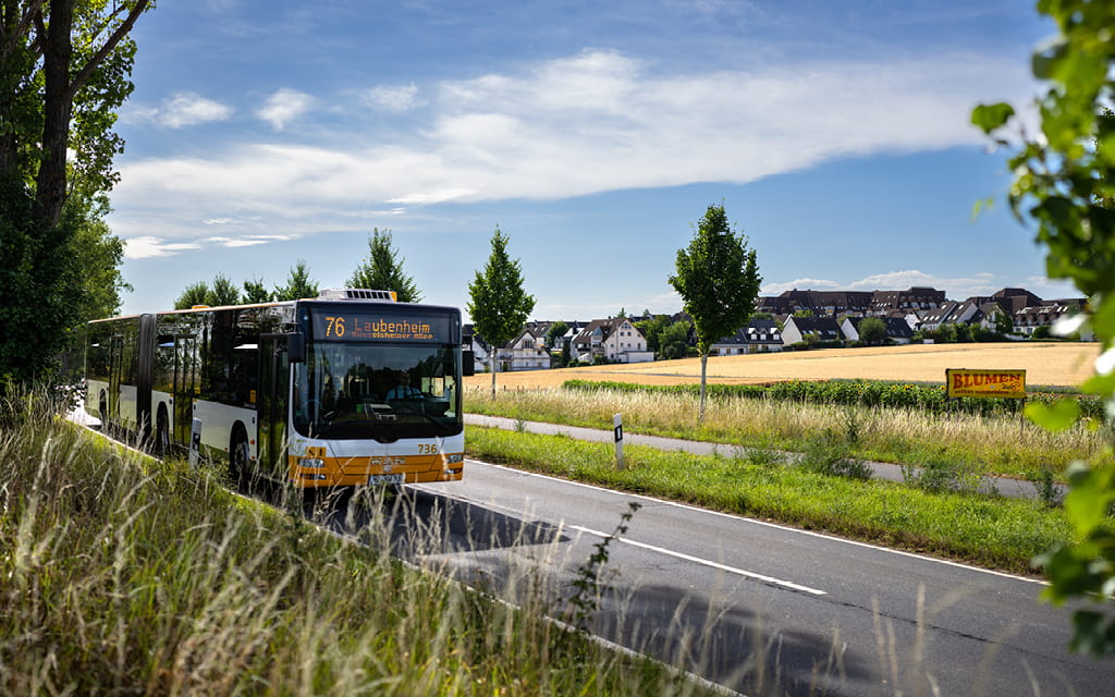 Foto von einem Bus der Linie 76 an einem sonnigen Tag an der Frankenhöhe